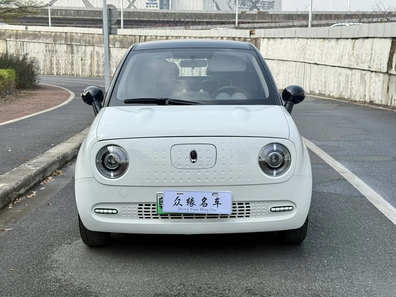 ORA Euler black cat  из Китая