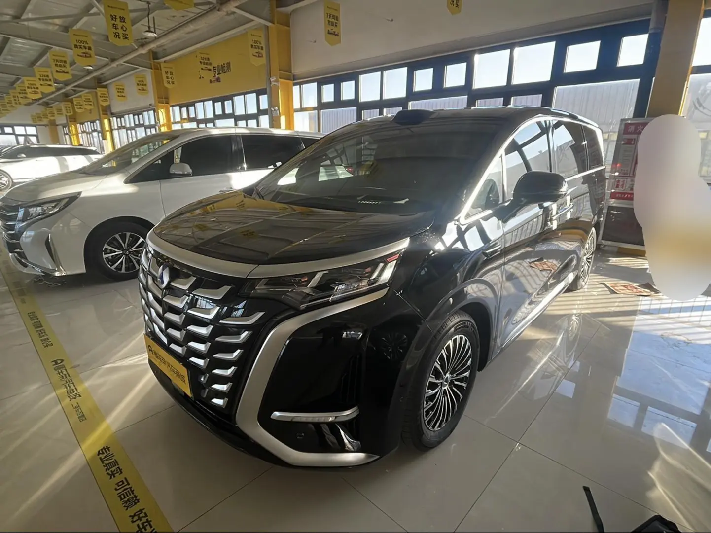 Denza D9 DM  из Китая