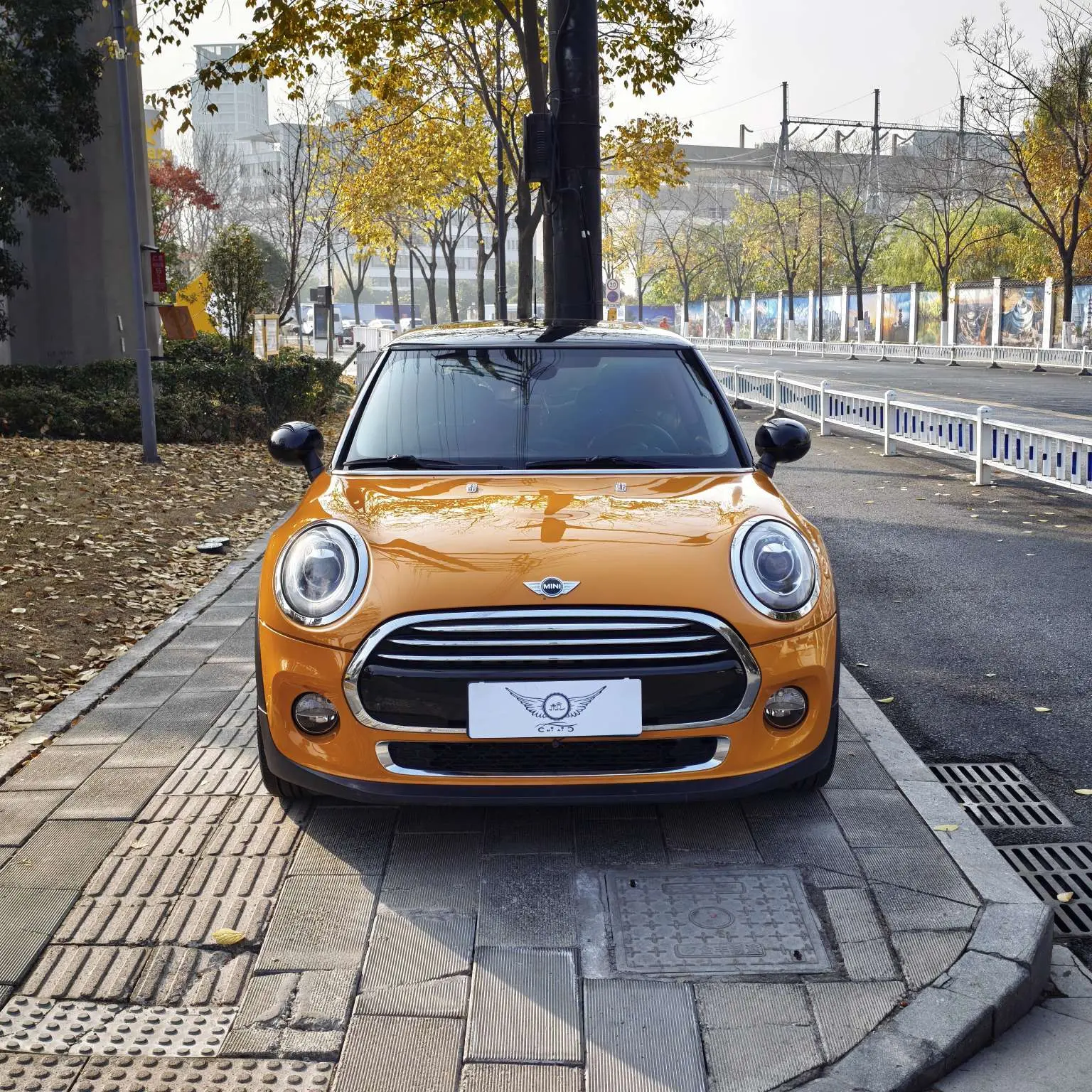 MINI MINI  из Китая