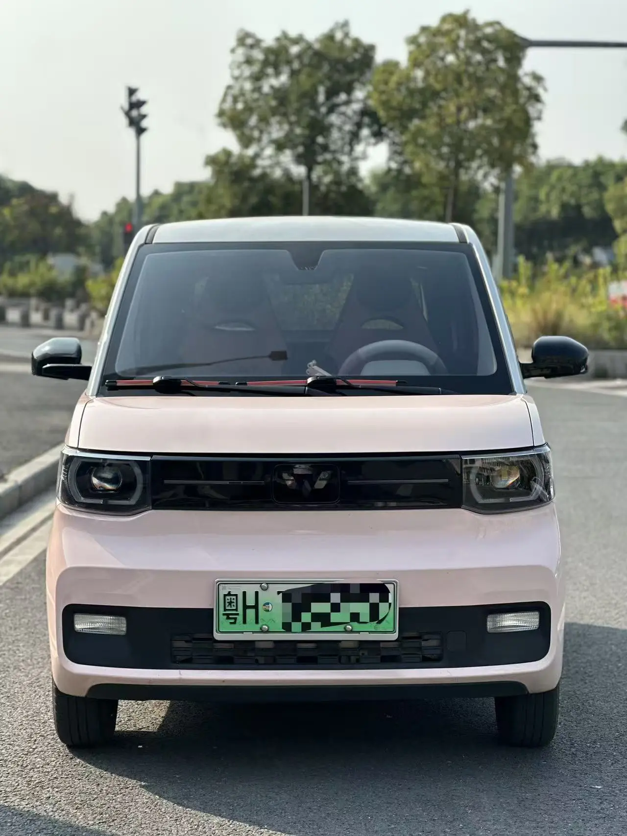 Wuling Hongguang MINIEV  из Китая