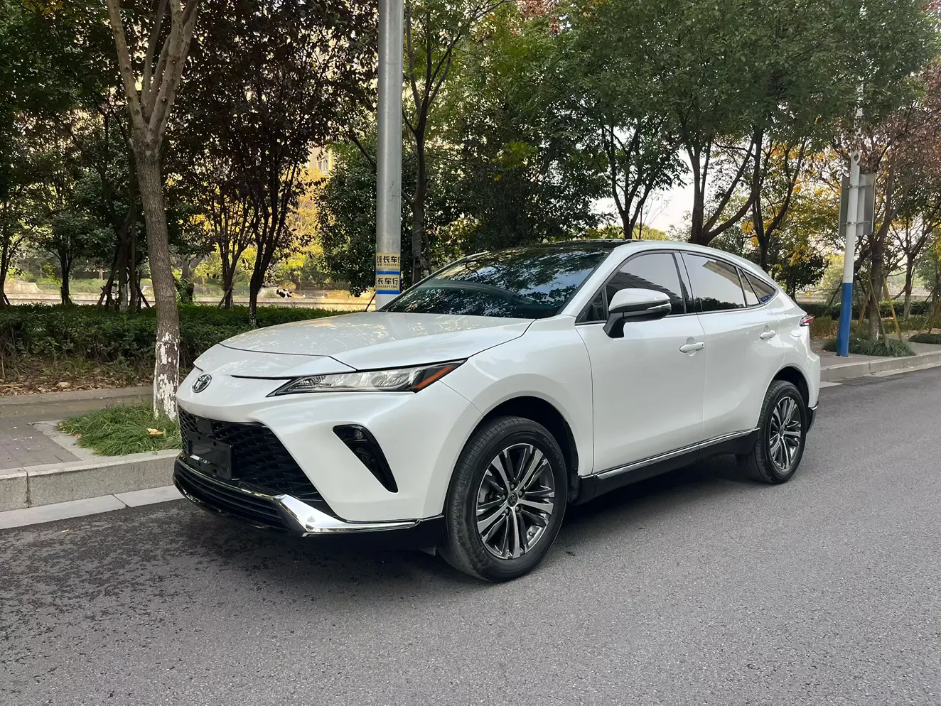 Toyota Venza