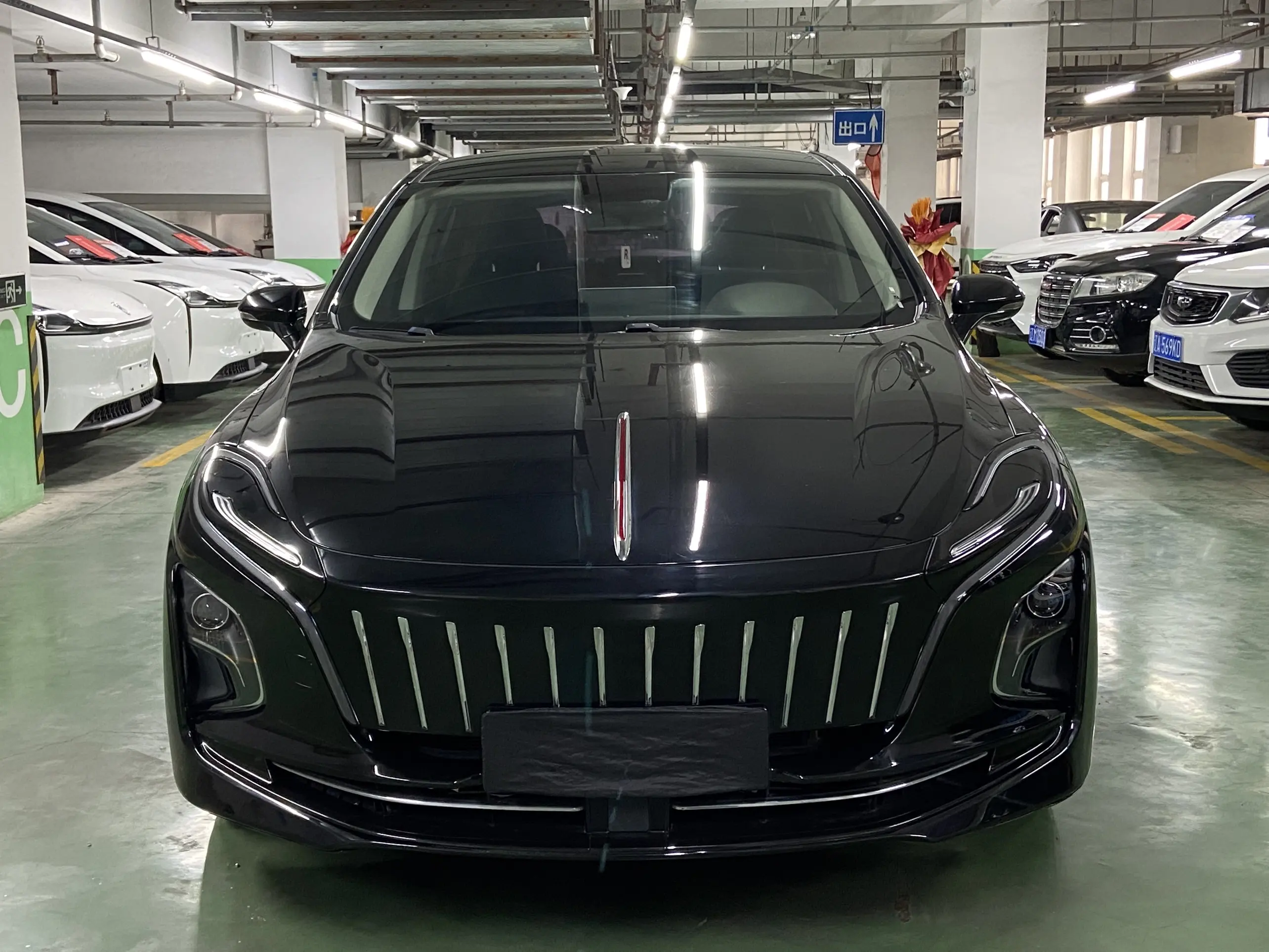 Hongqi E-QM5  из Китая