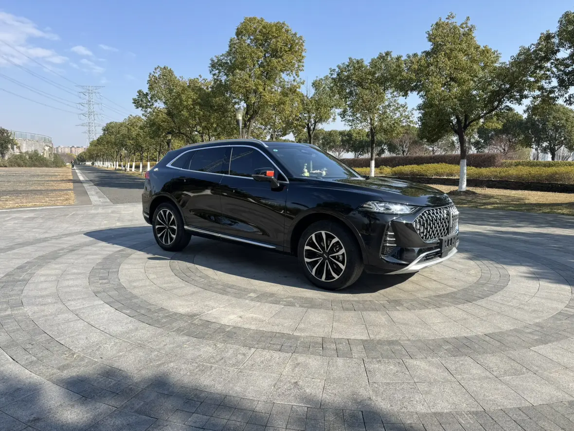 Wey Mocha  из Китая