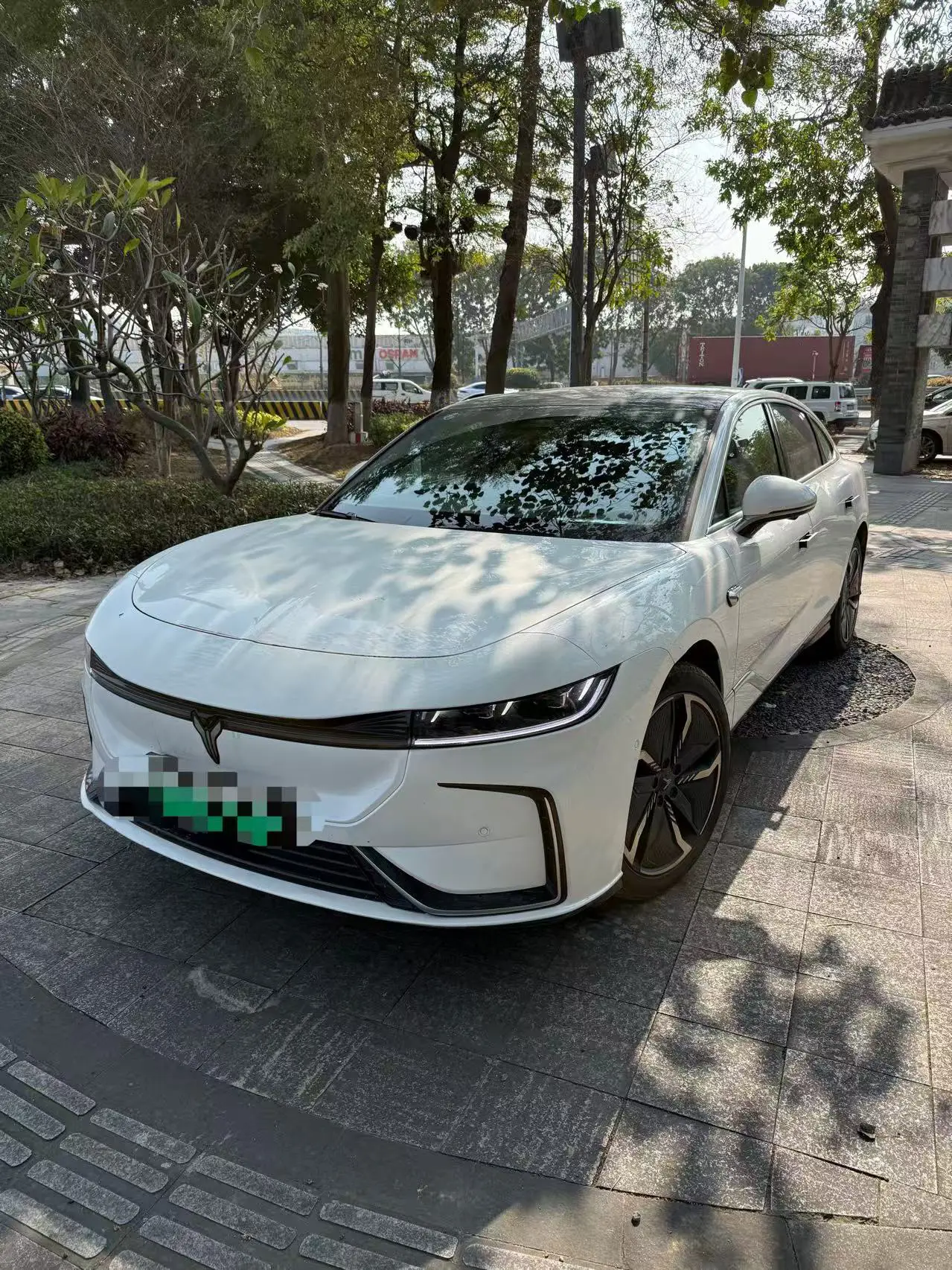 Voyah Passion EV  из Китая