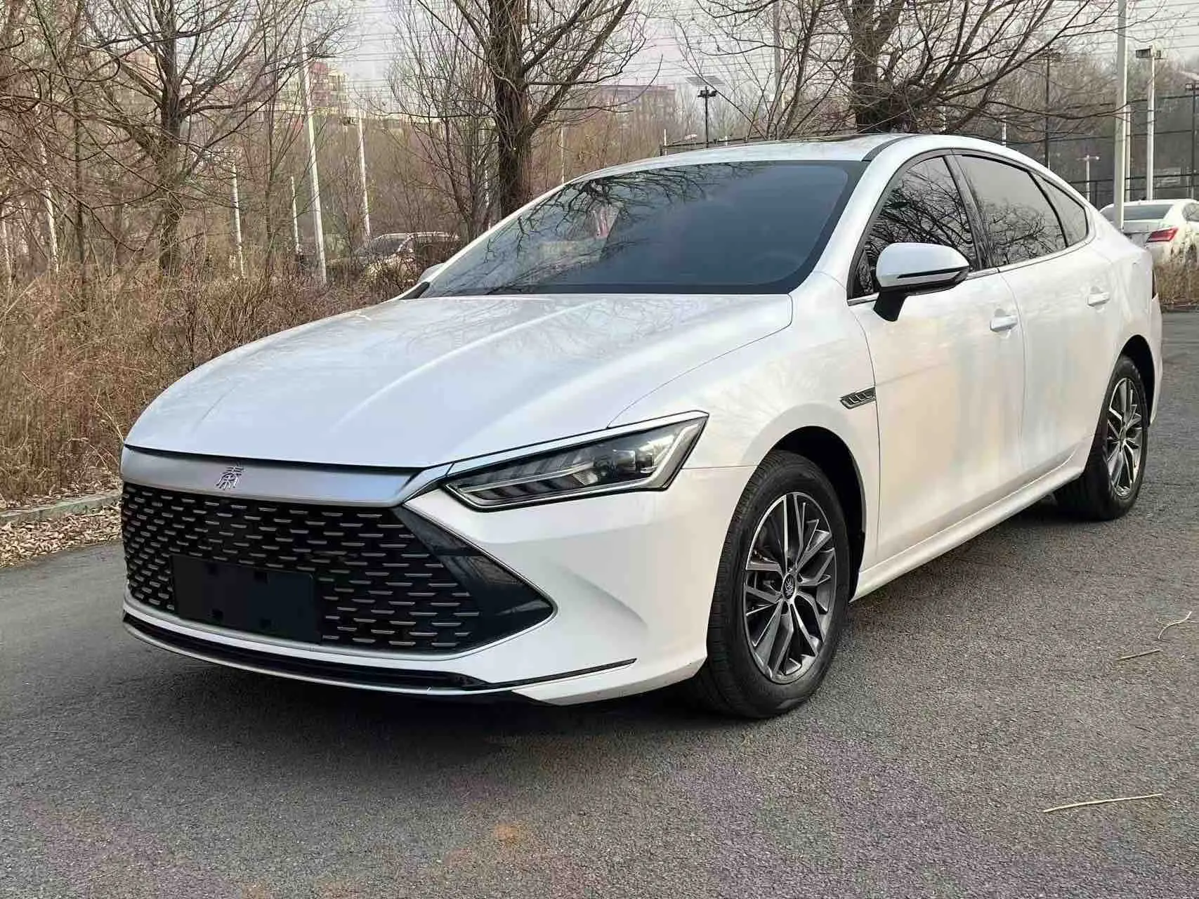 BYD Qin PLUS DM  из Китая