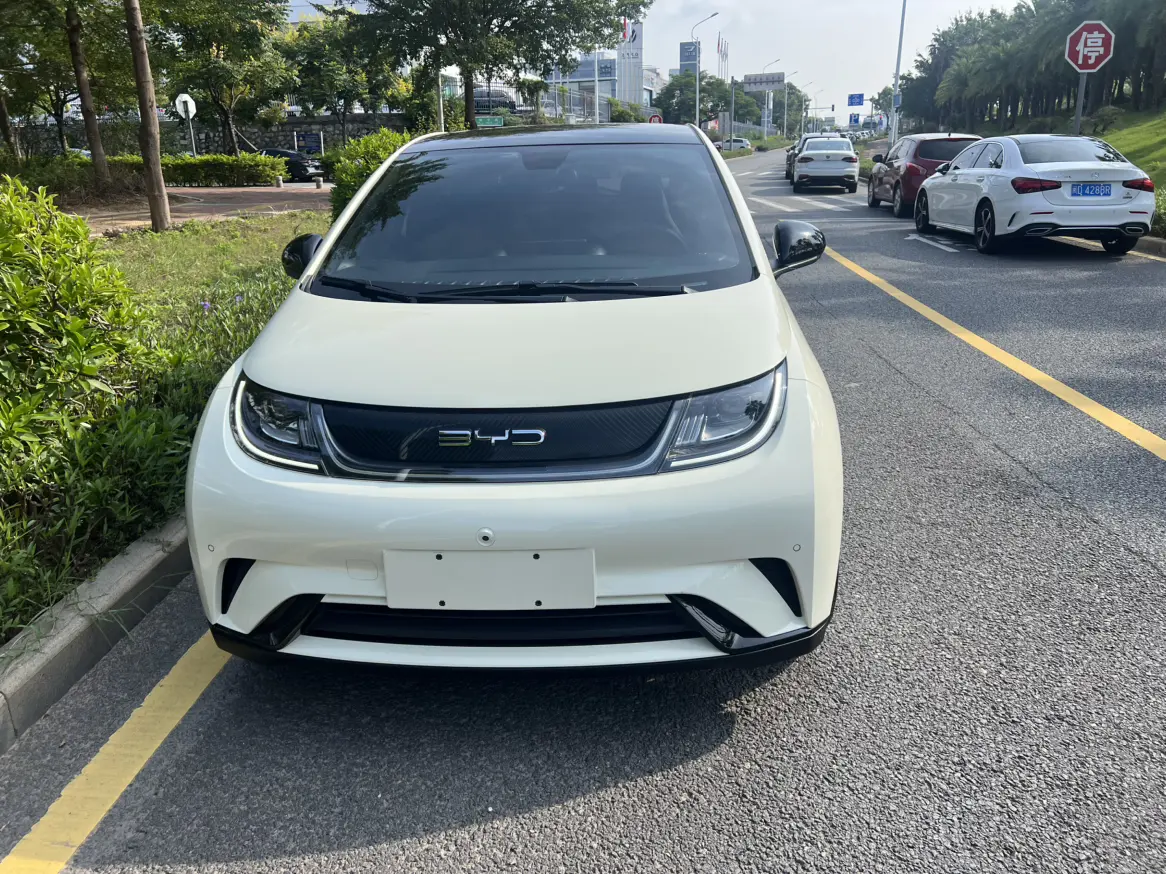 BYD Dolphin  из Китая