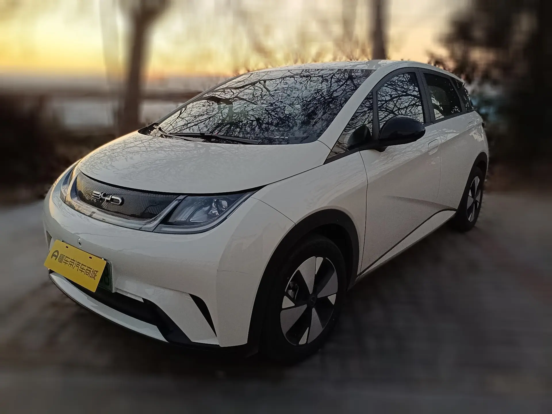 BYD Dolphin  из Китая