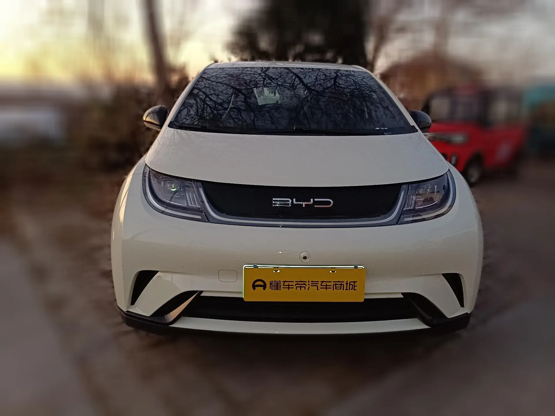 BYD Dolphin  из Китая