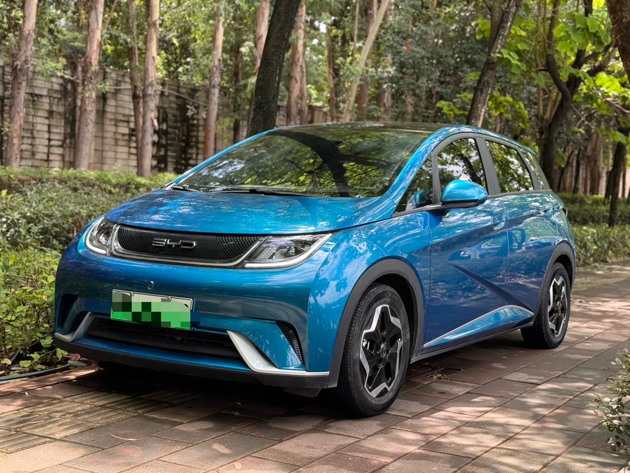 BYD Dolphin  из Китая