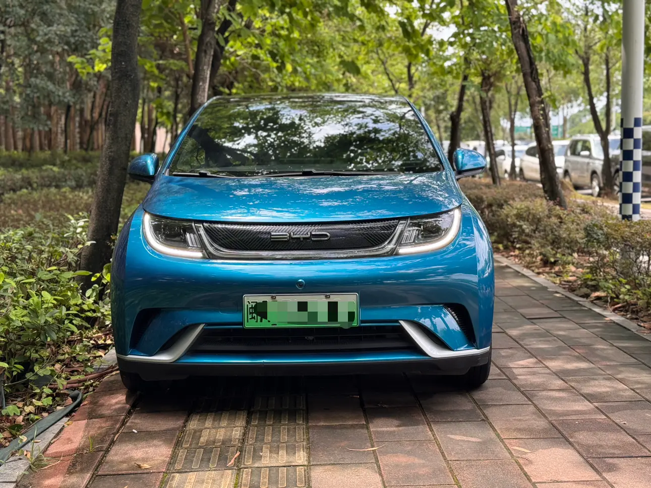 BYD Dolphin  из Китая