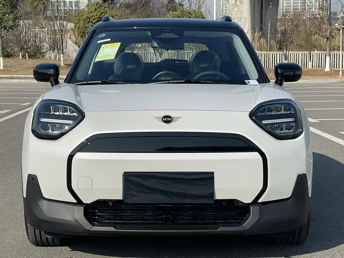 MINI ELECTRIC  ACEMAN  из Китая