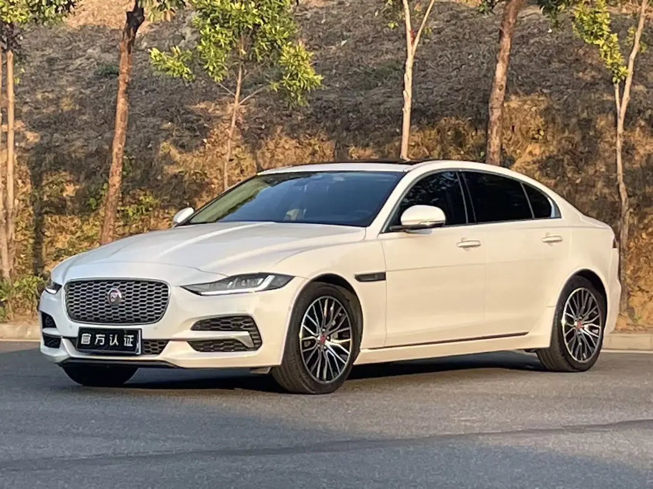 Jaguar XEL  из Китая