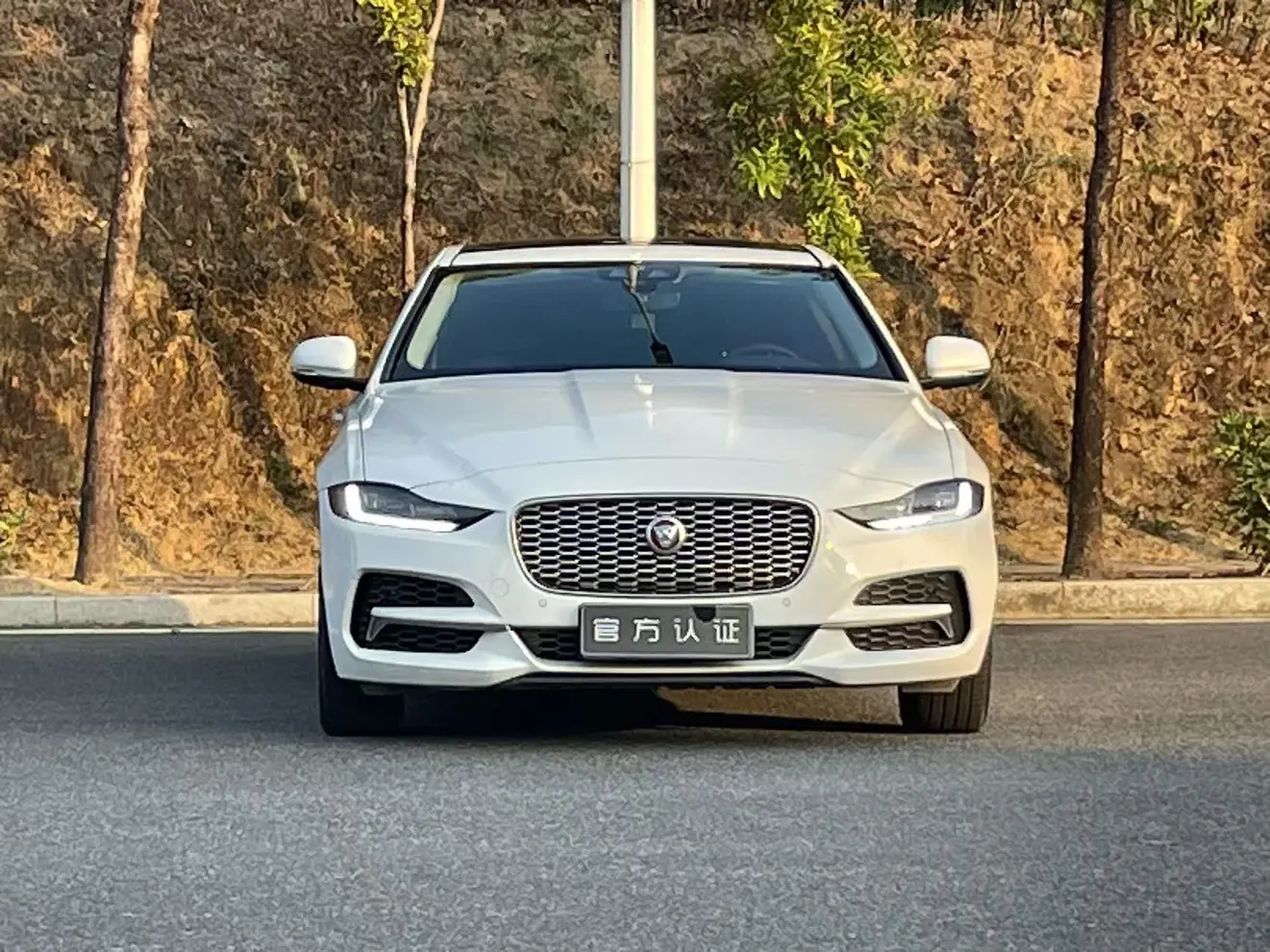 Jaguar XEL  из Китая