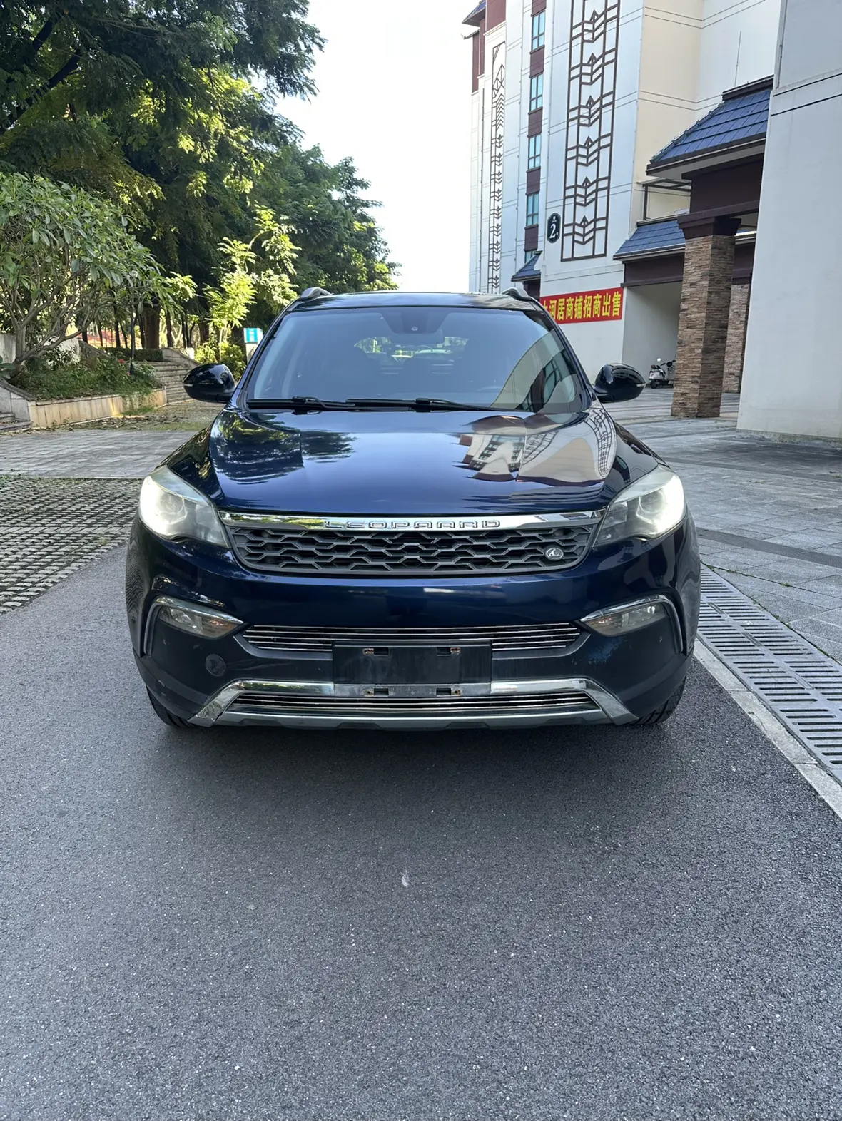 Cheetah cars Cheetah CS10  из Китая