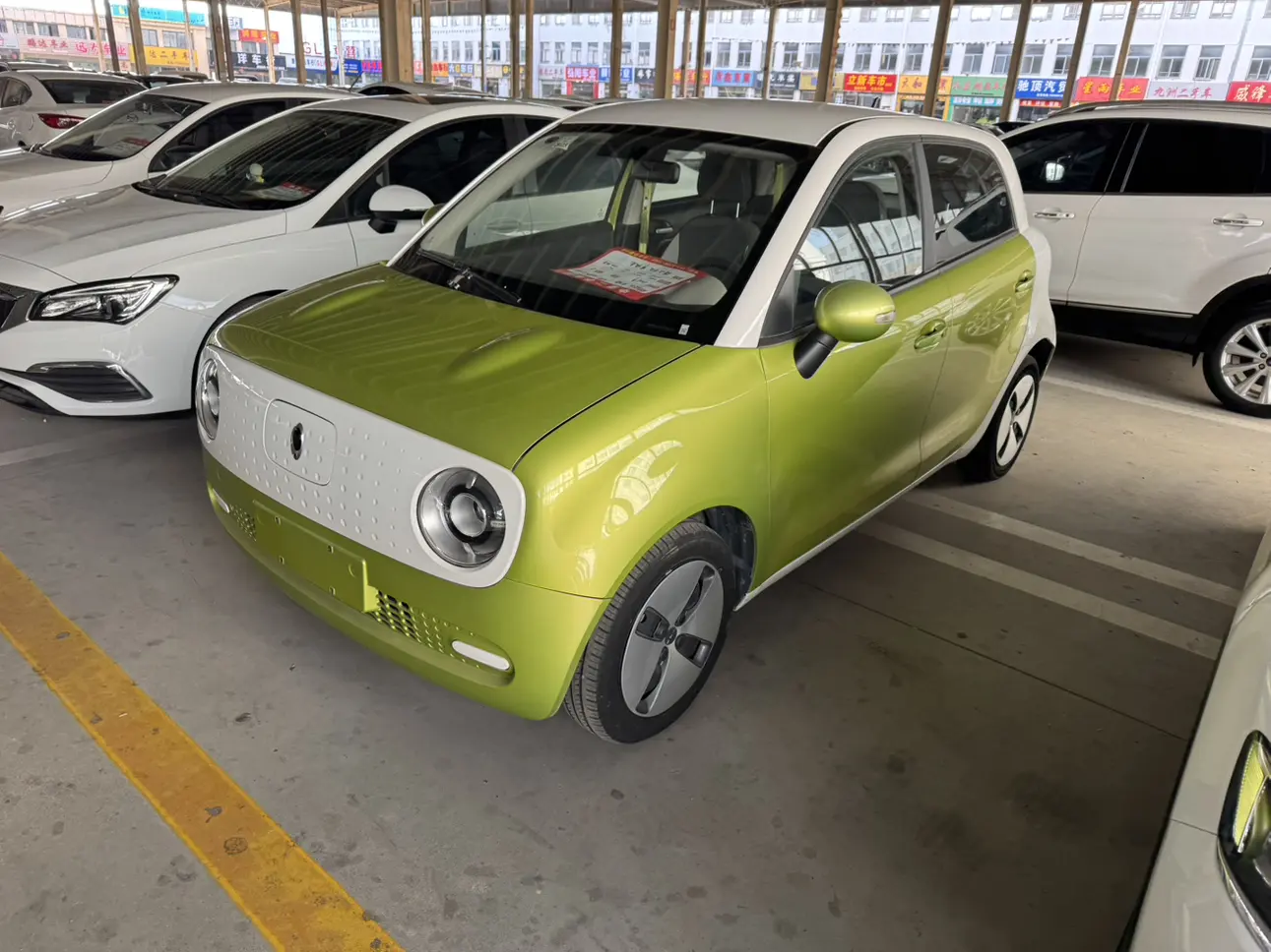 ORA Euler black cat  из Китая