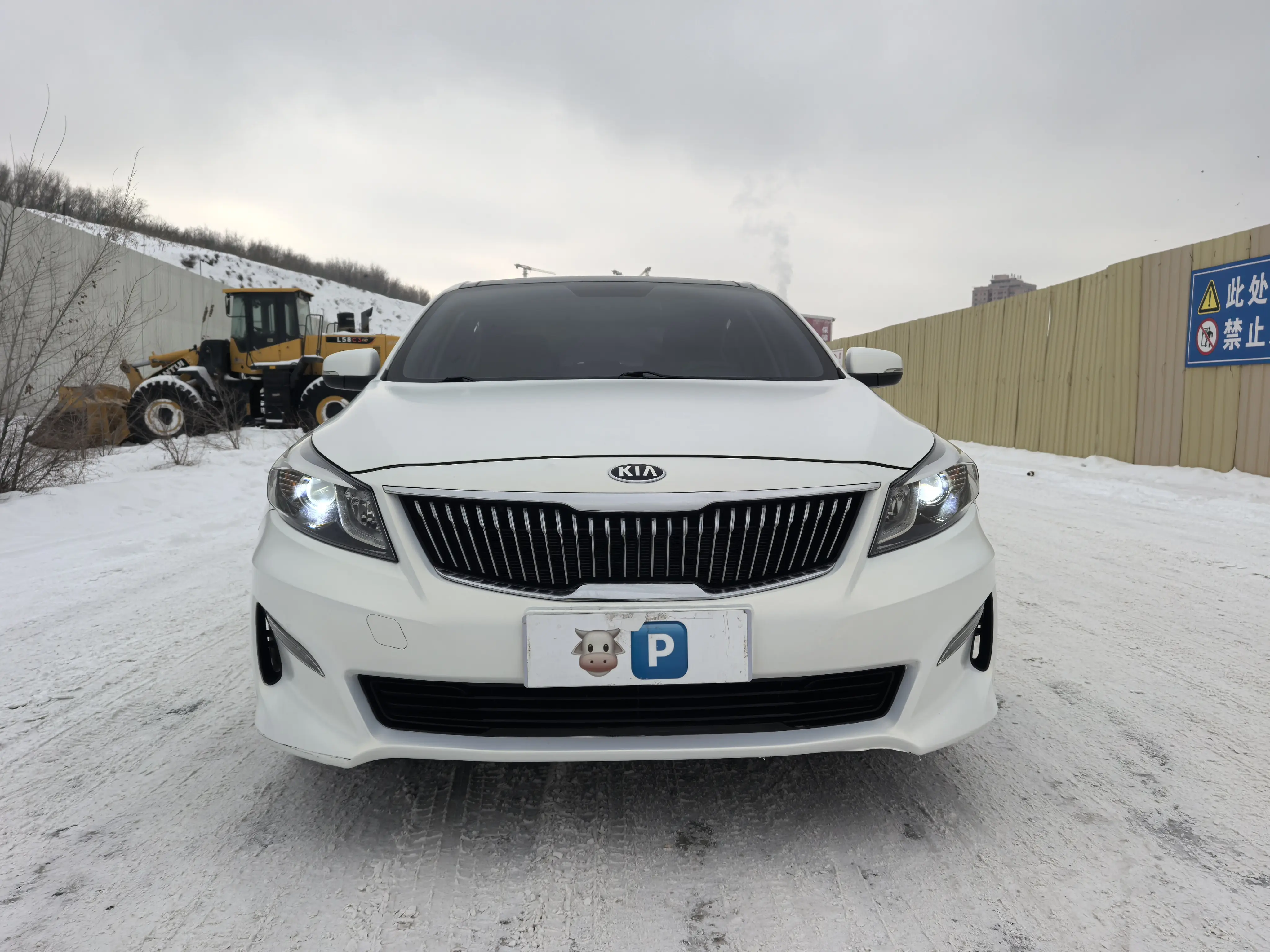 Kia Kaishen  из Китая