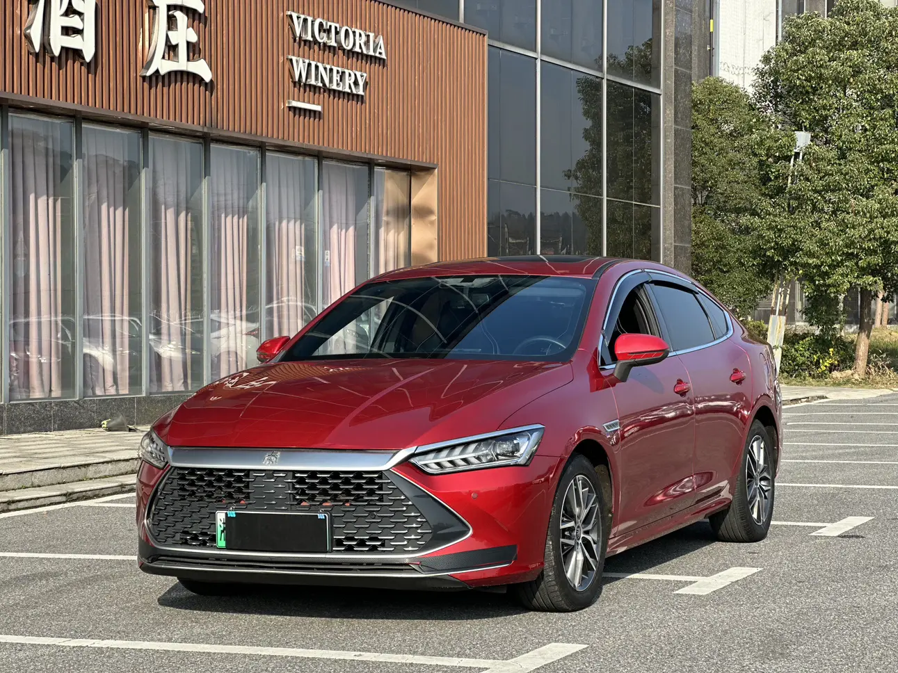 BYD Qin PLUS DM  из Китая