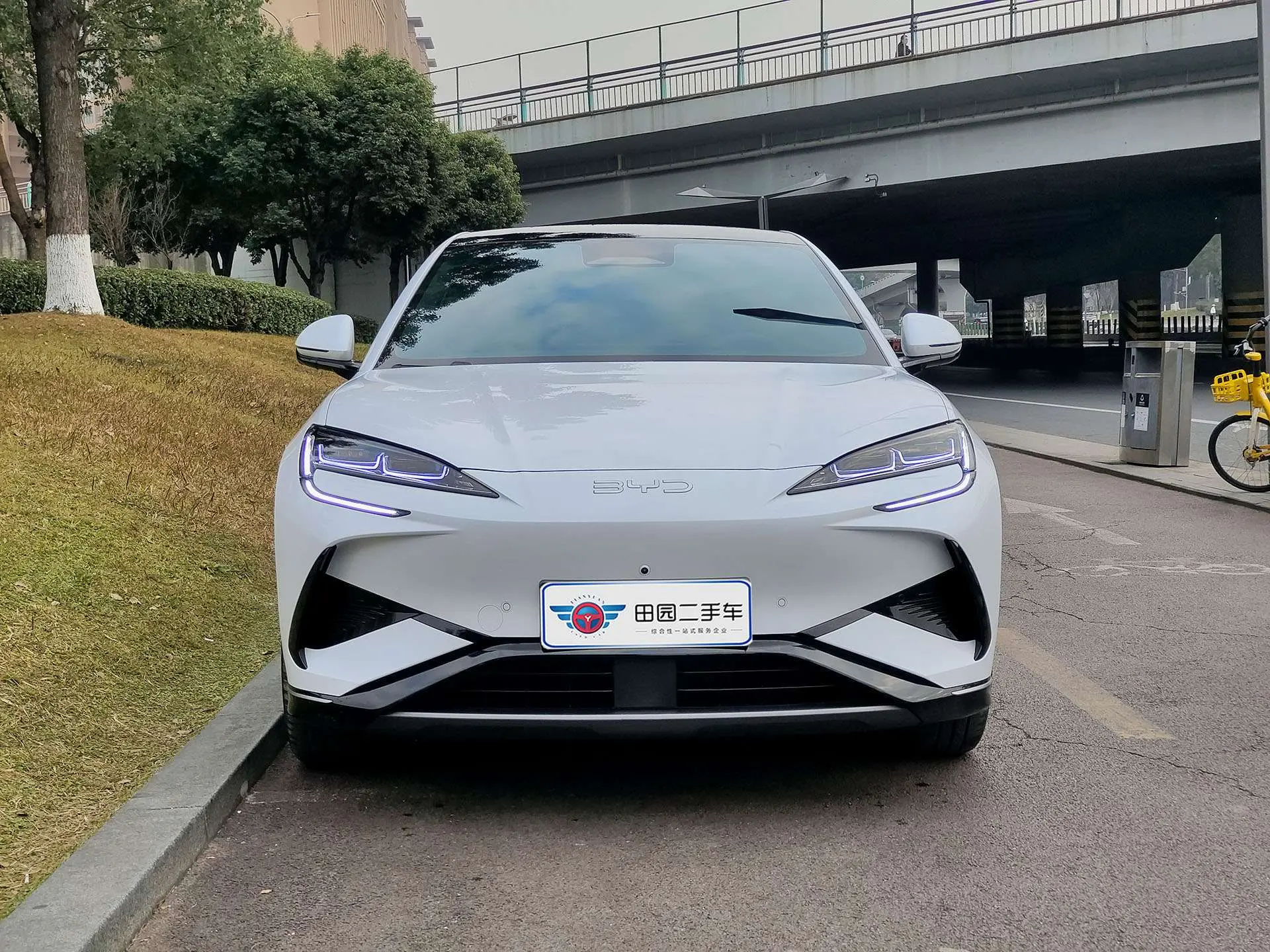 BYD Sea Lion 07EV  из Китая