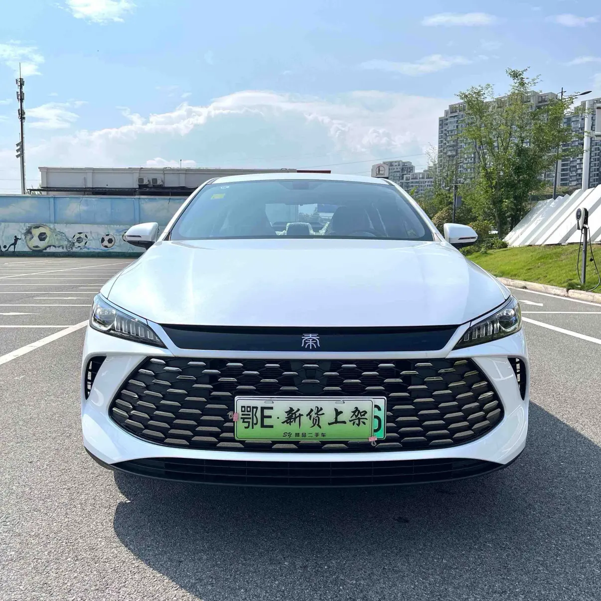 BYD Qin PLUS DM  из Китая