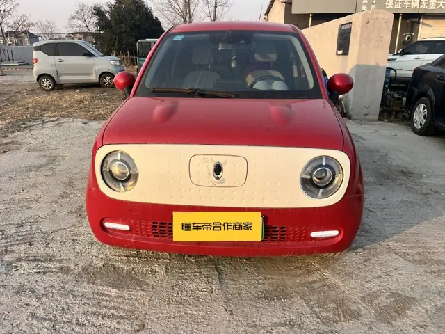 ORA Euler black cat  из Китая