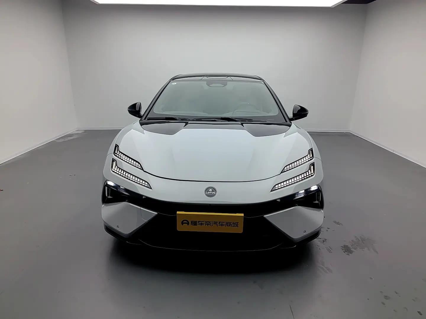 Lotus Emeya  из Китая