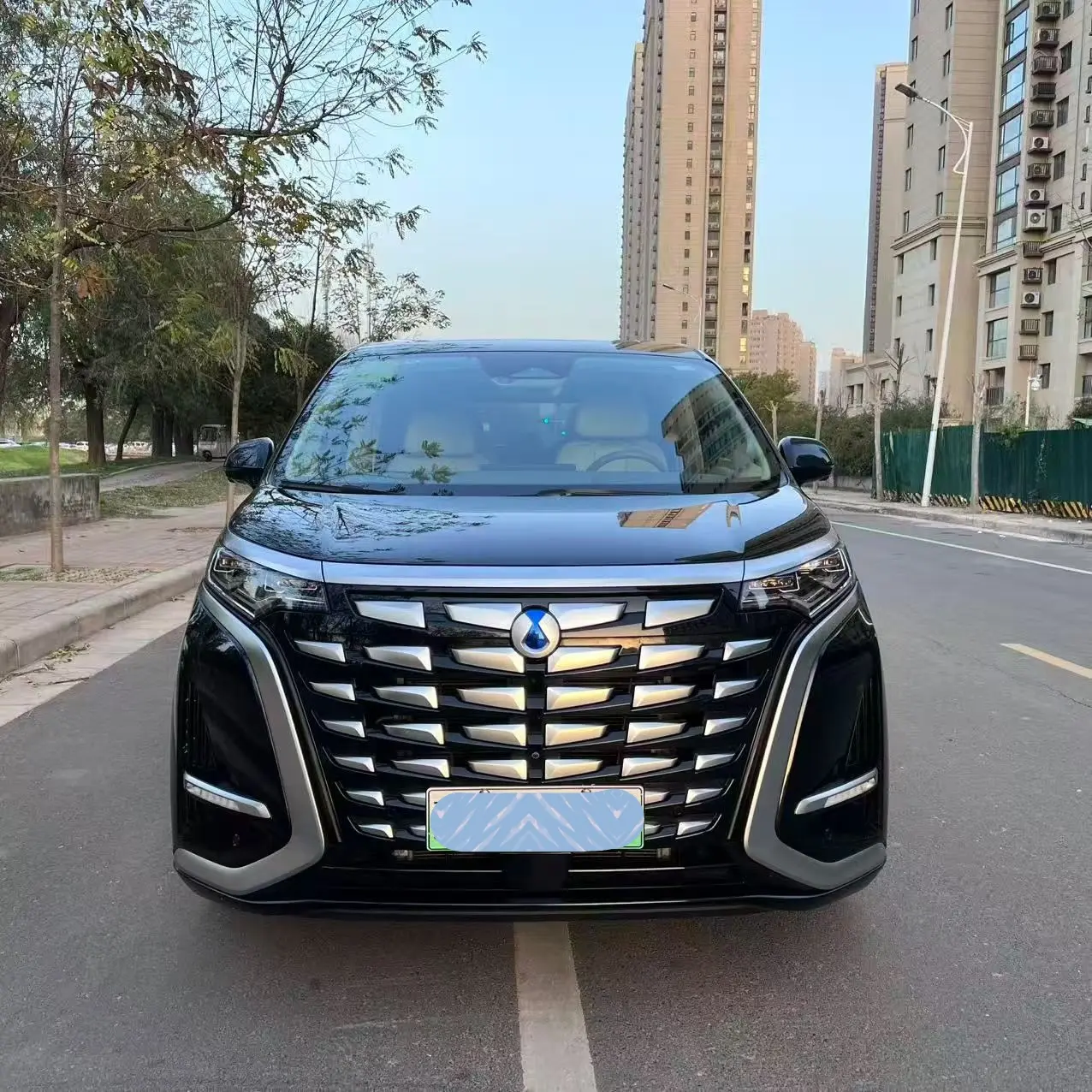 Denza D9 DM  из Китая