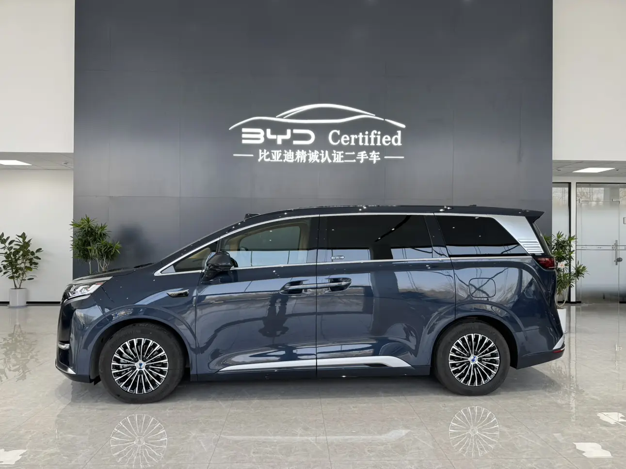 Denza D9 DM  из Китая