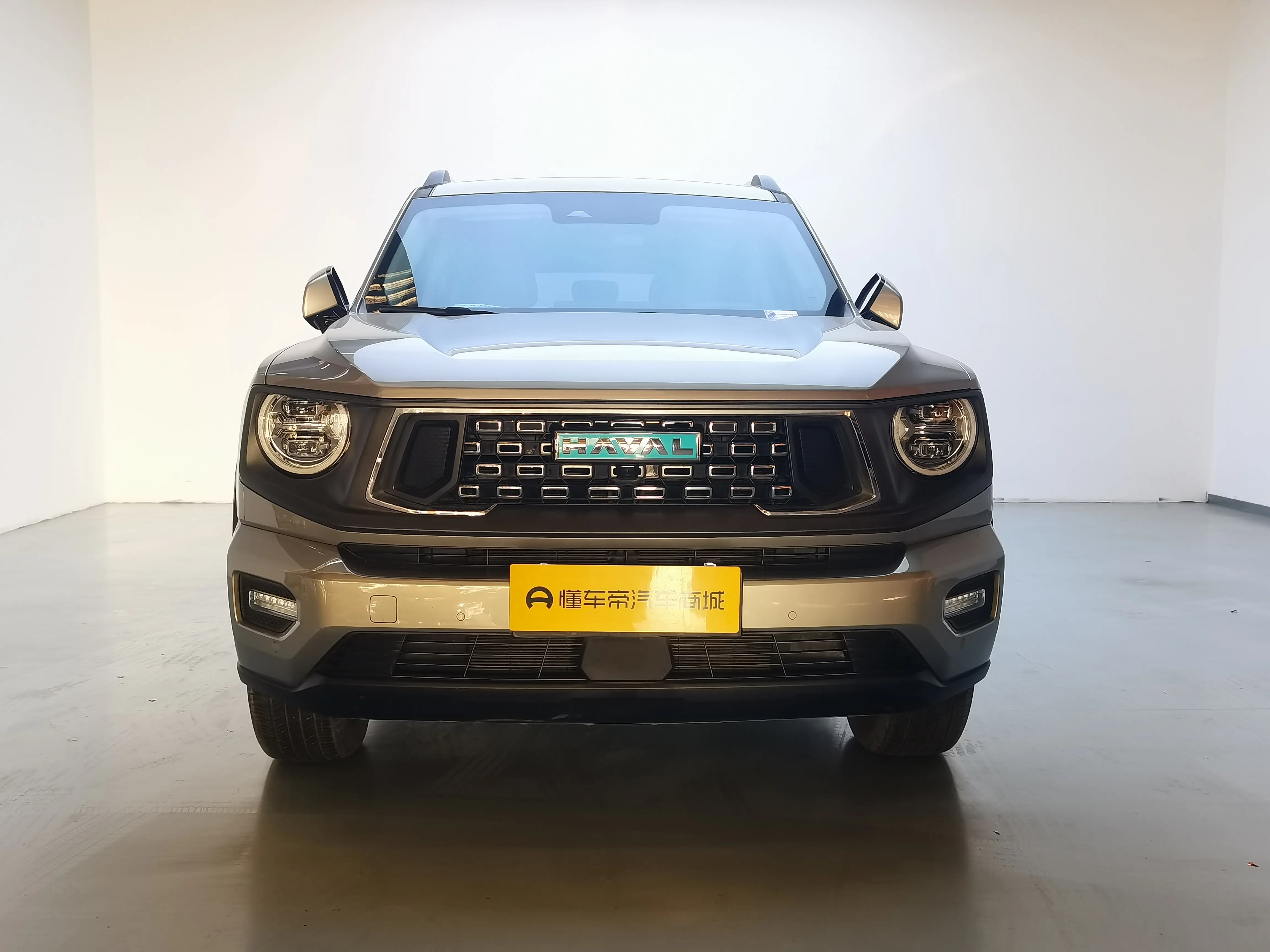 Haval Big Dog PLUS PHEV  из Китая