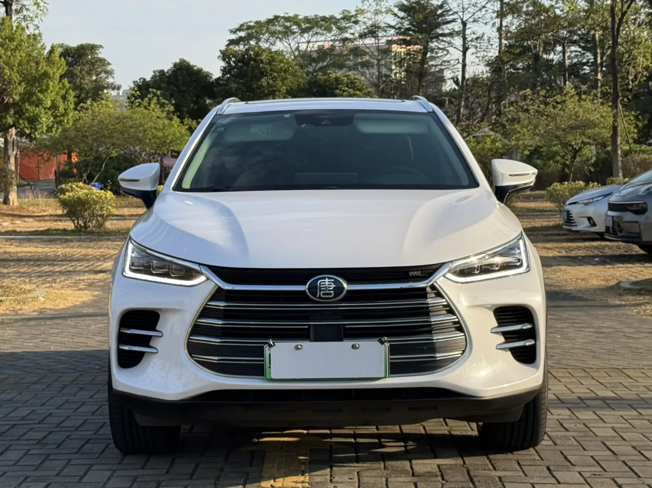 BYD Tang DM  из Китая