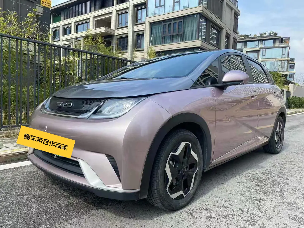 BYD Dolphin  из Китая