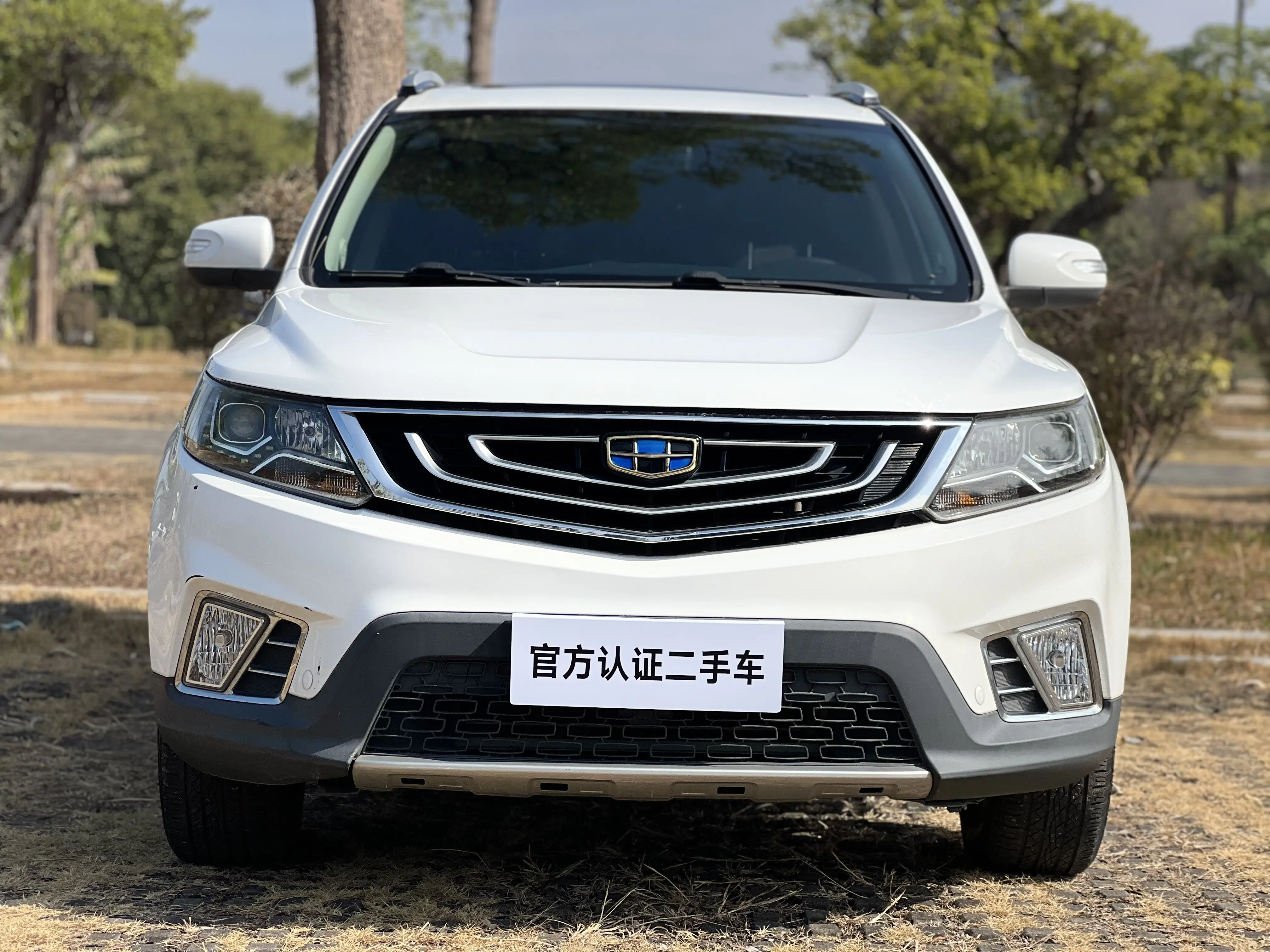 Geely Vision X6  из Китая