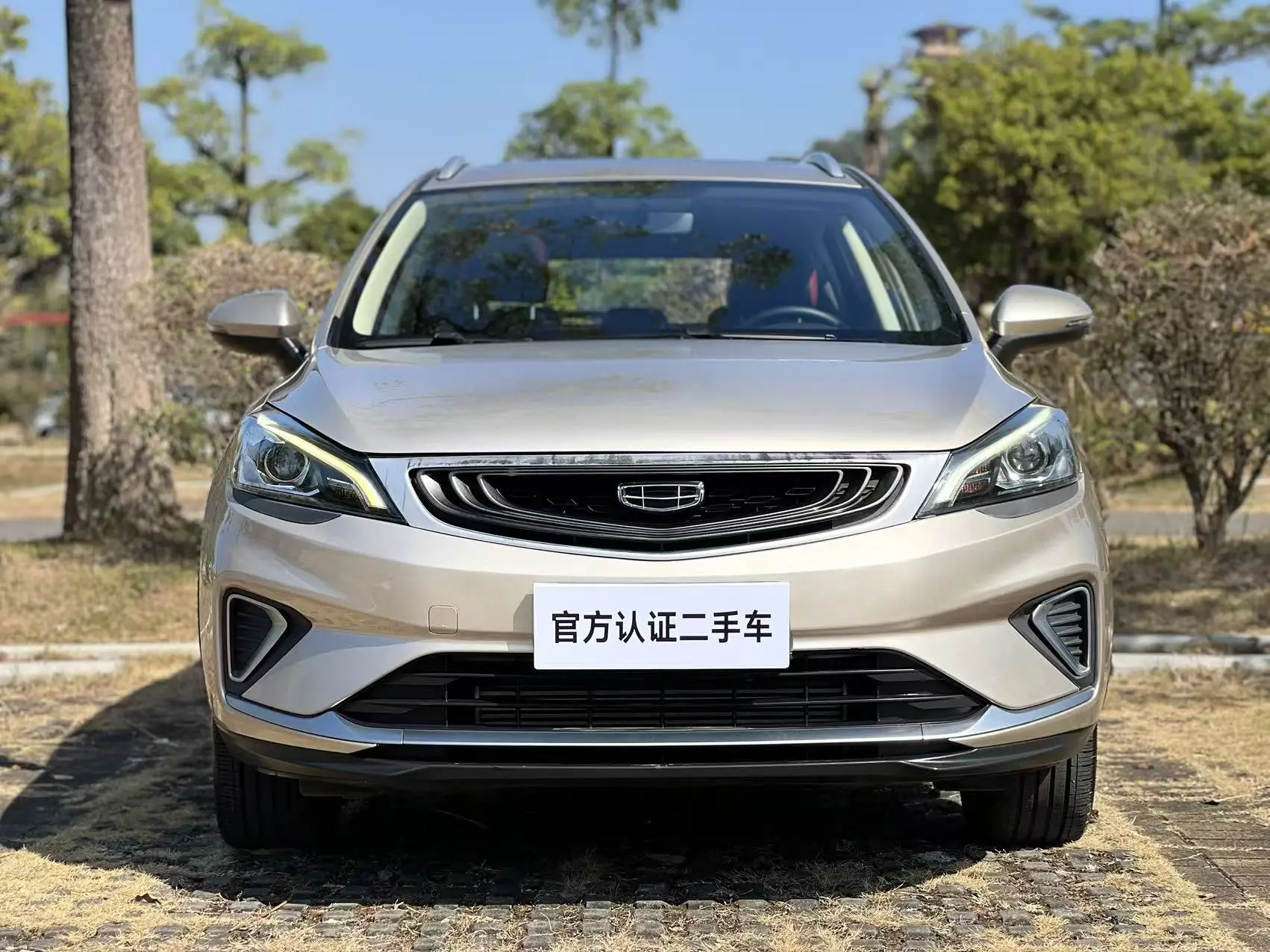 Geely Emgrand GS  из Китая