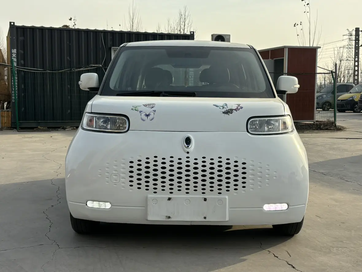 ORA Euler white cat  из Китая