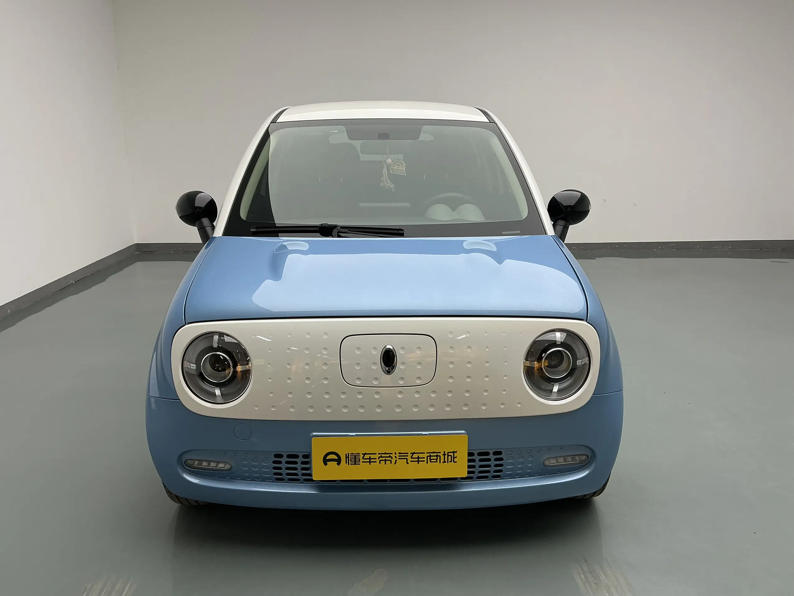 ORA Euler black cat  из Китая