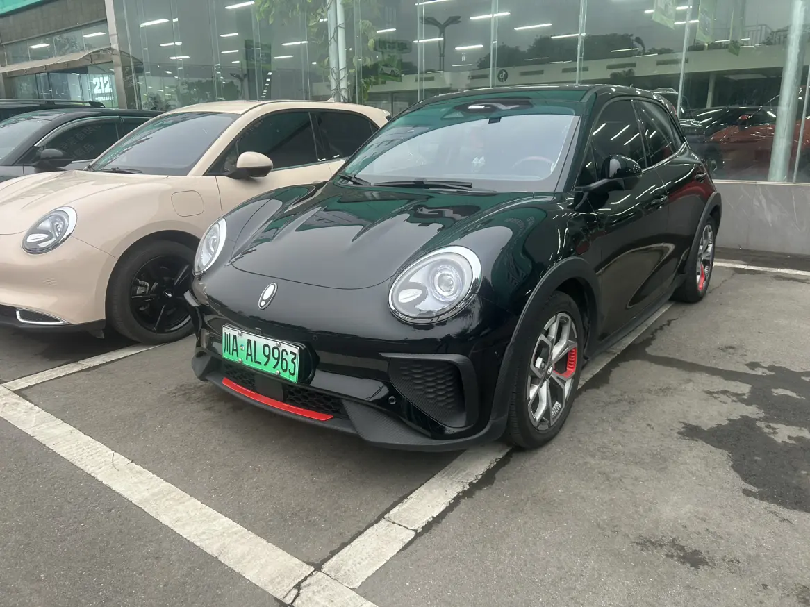 ORA Euler Good Cat GT  из Китая