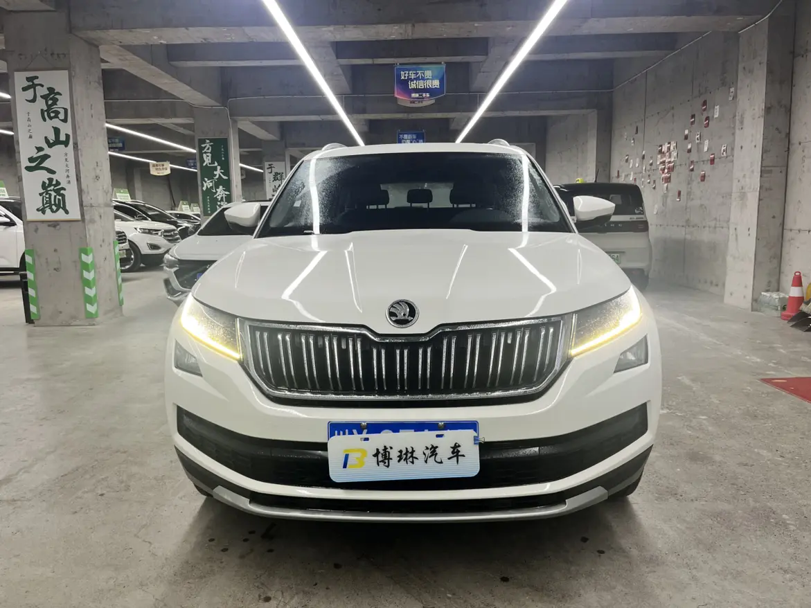 Skoda Kodiaq  из Китая