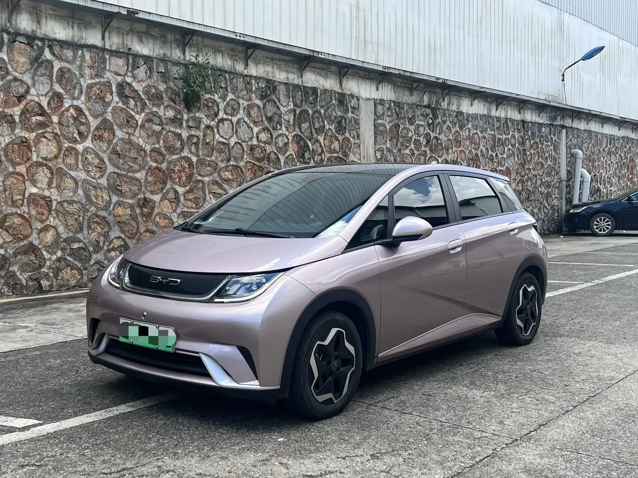 BYD Dolphin  из Китая