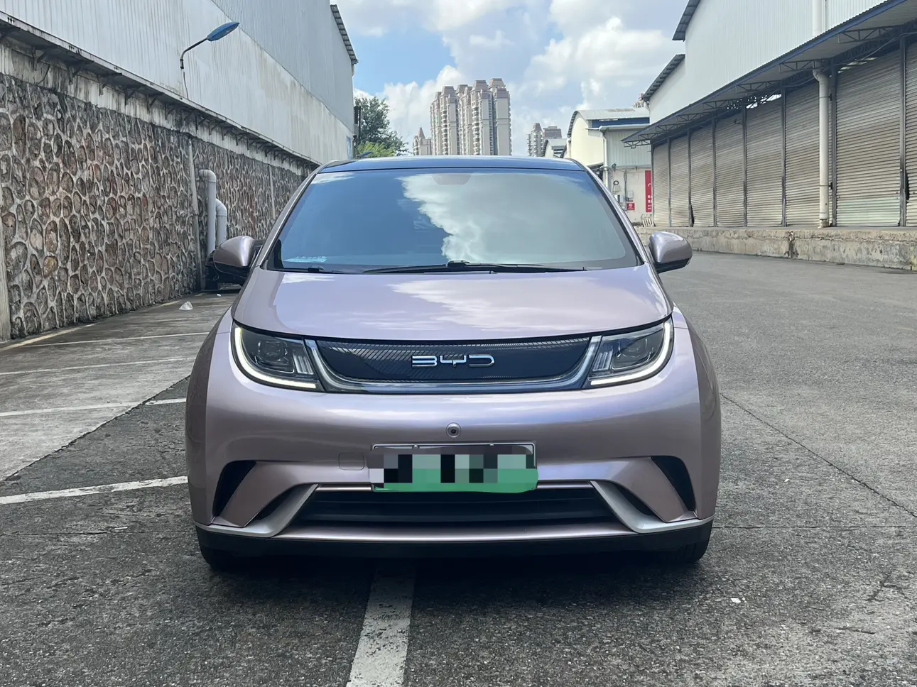 BYD Dolphin  из Китая