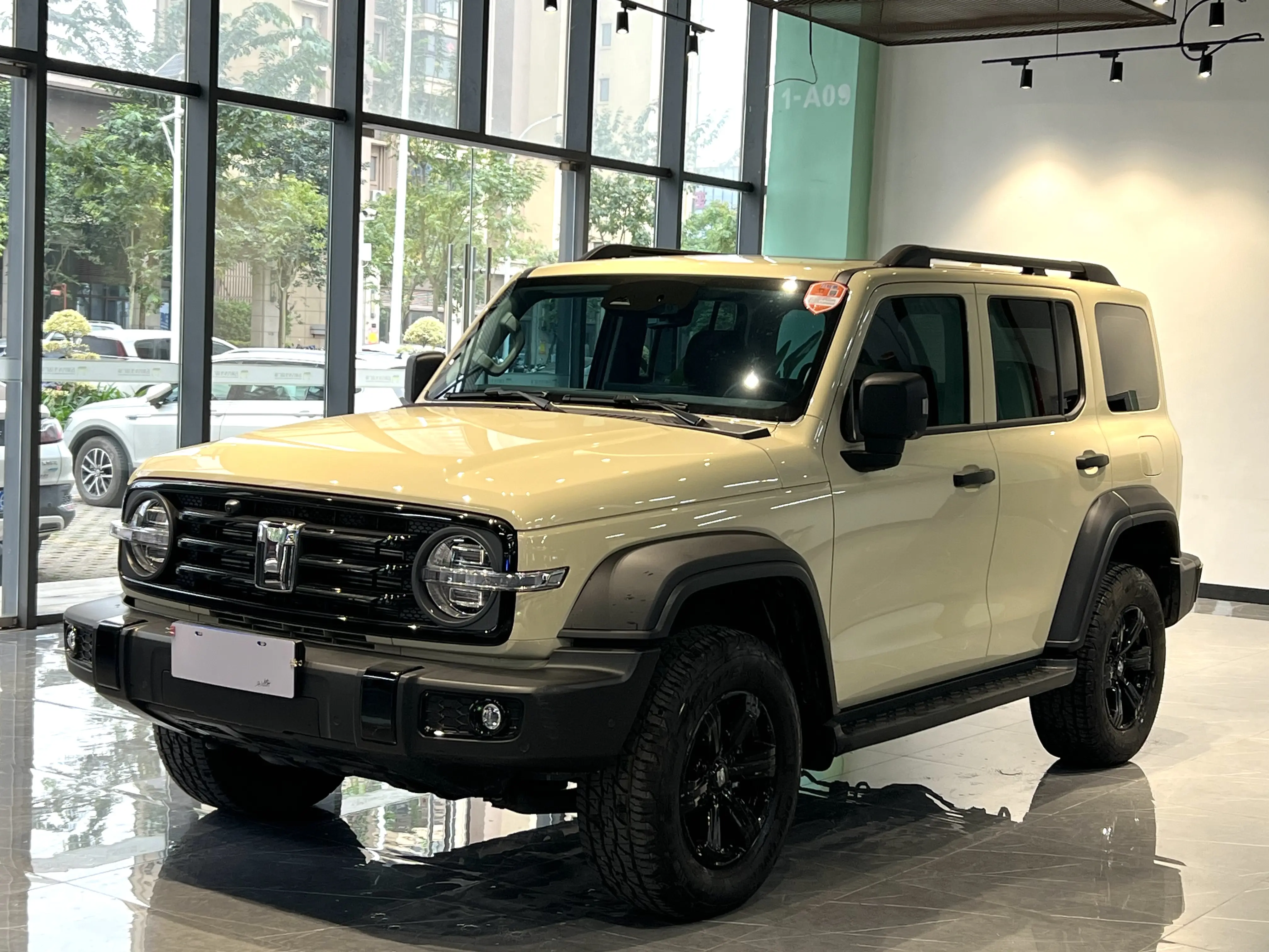 Tank 300  из Китая