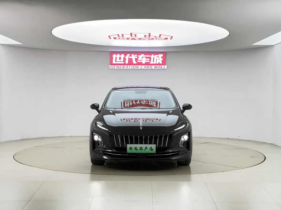 Hongqi E-QM5  из Китая