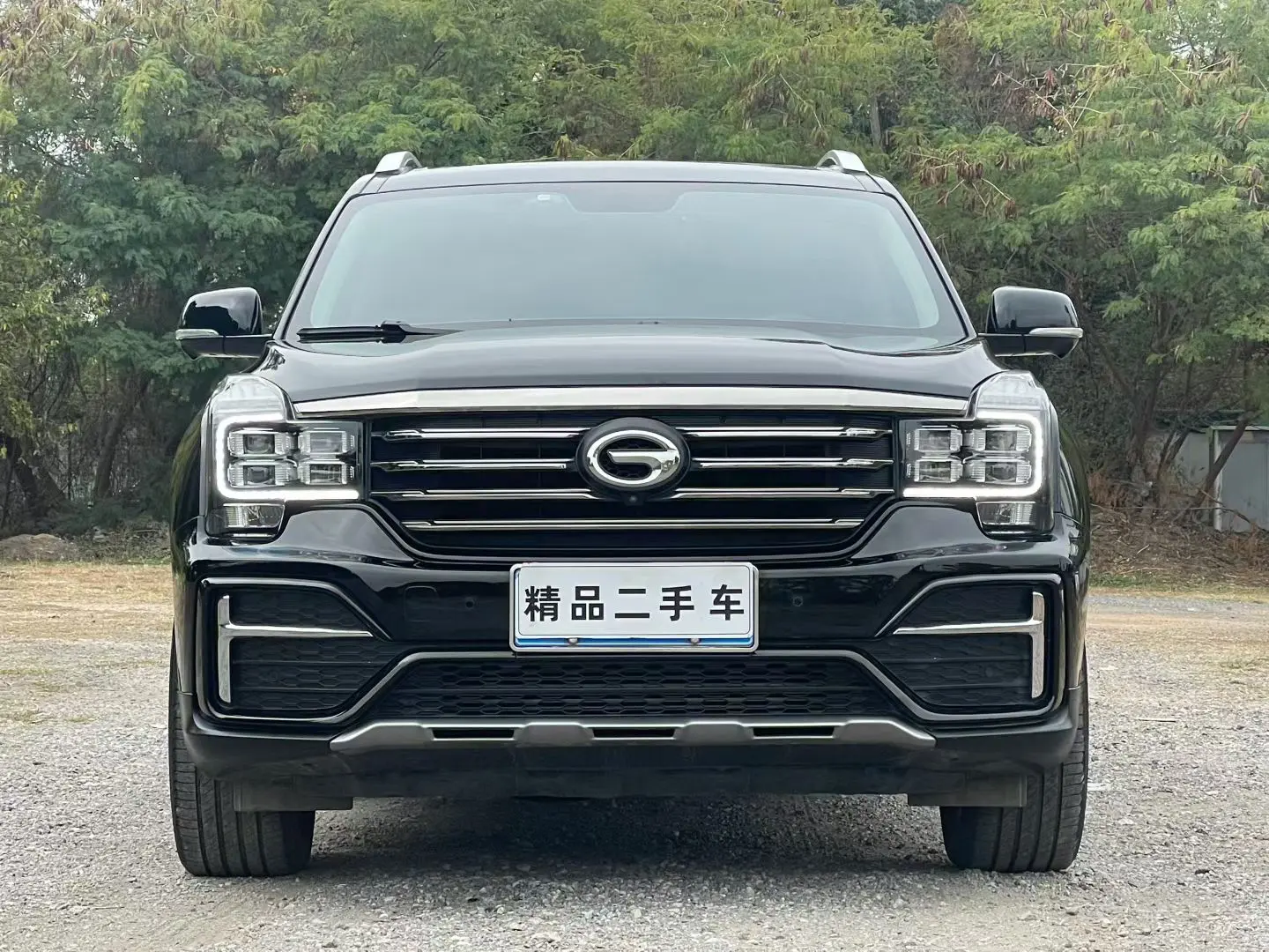 GAC Trumpchi GS8  из Китая