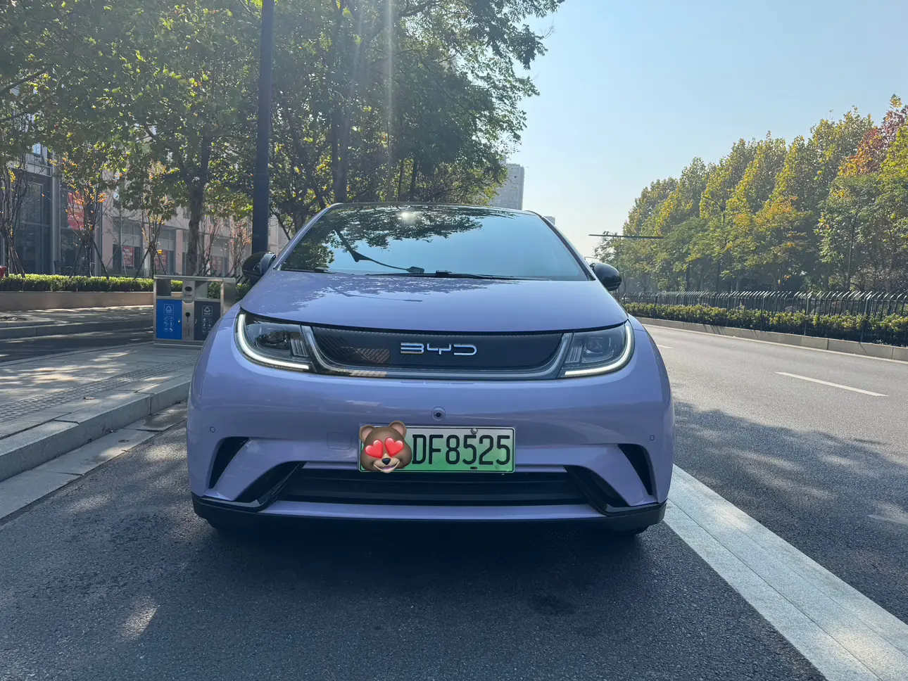 BYD Dolphin  из Китая