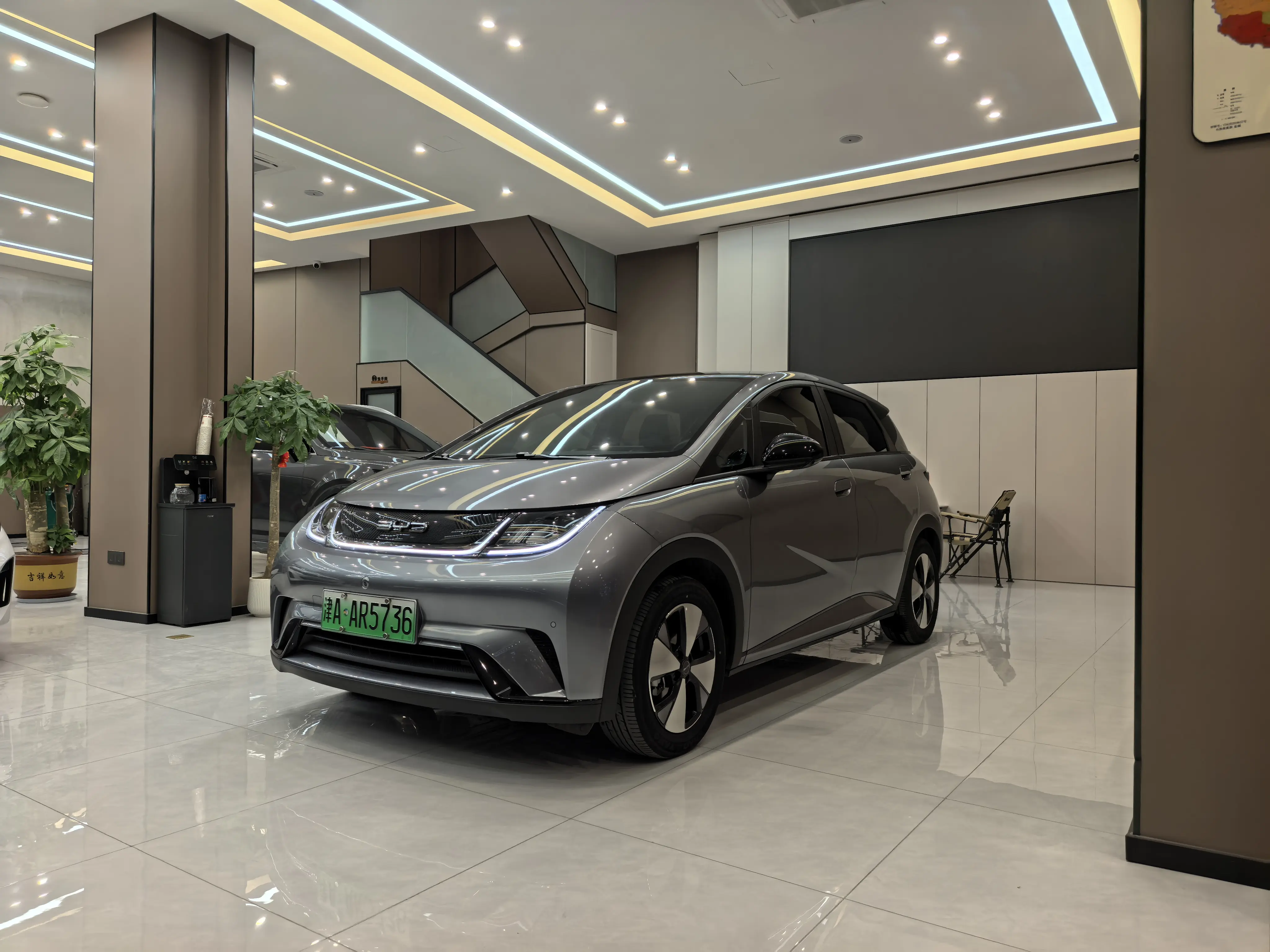 BYD Dolphin  из Китая