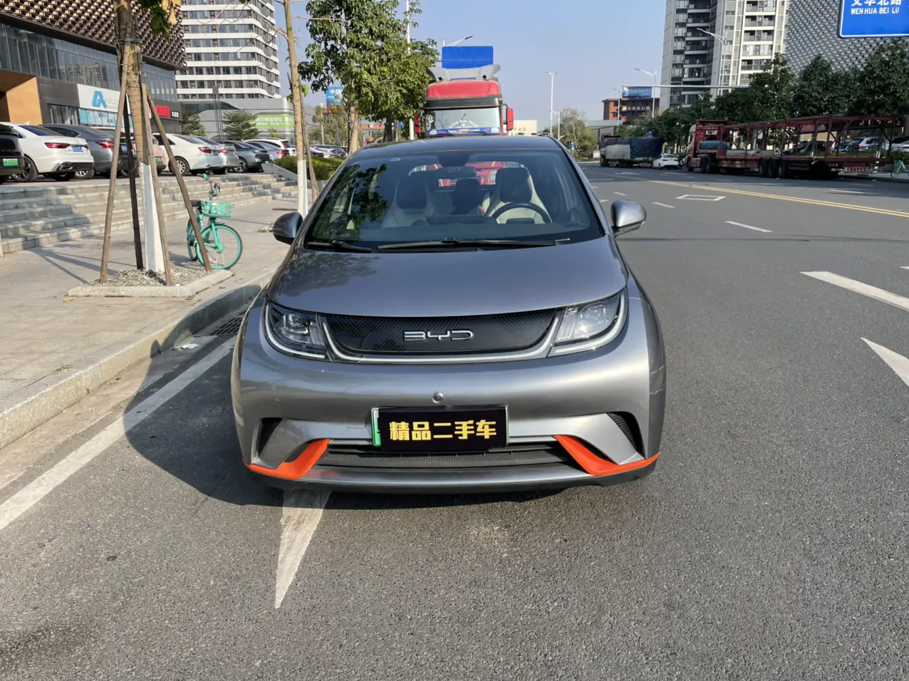 BYD Dolphin  из Китая