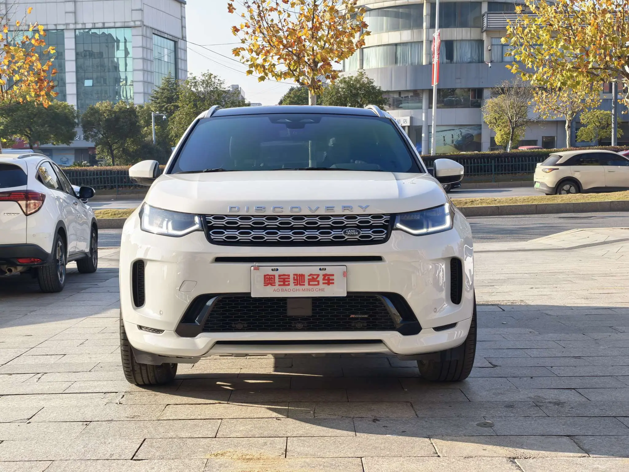 Land Rover Discover Sports  из Китая