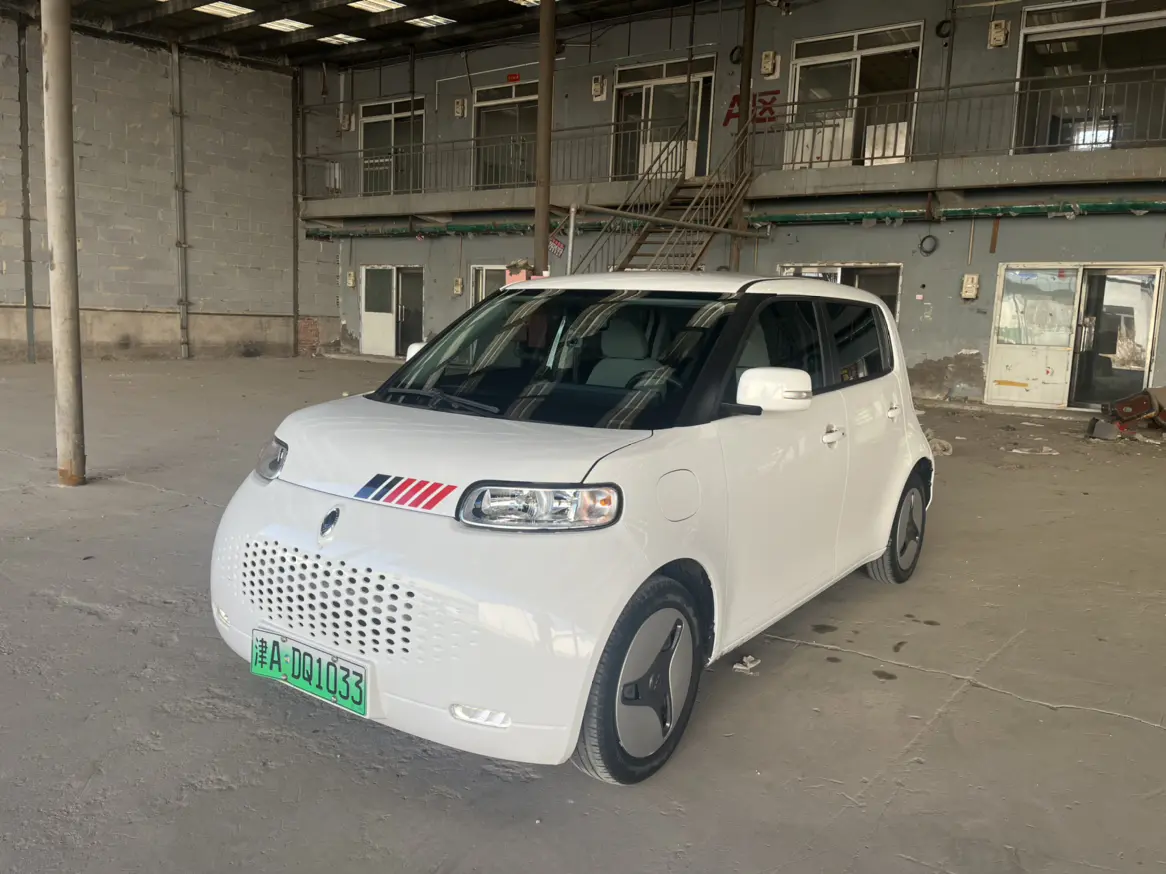 ORA Euler white cat  из Китая