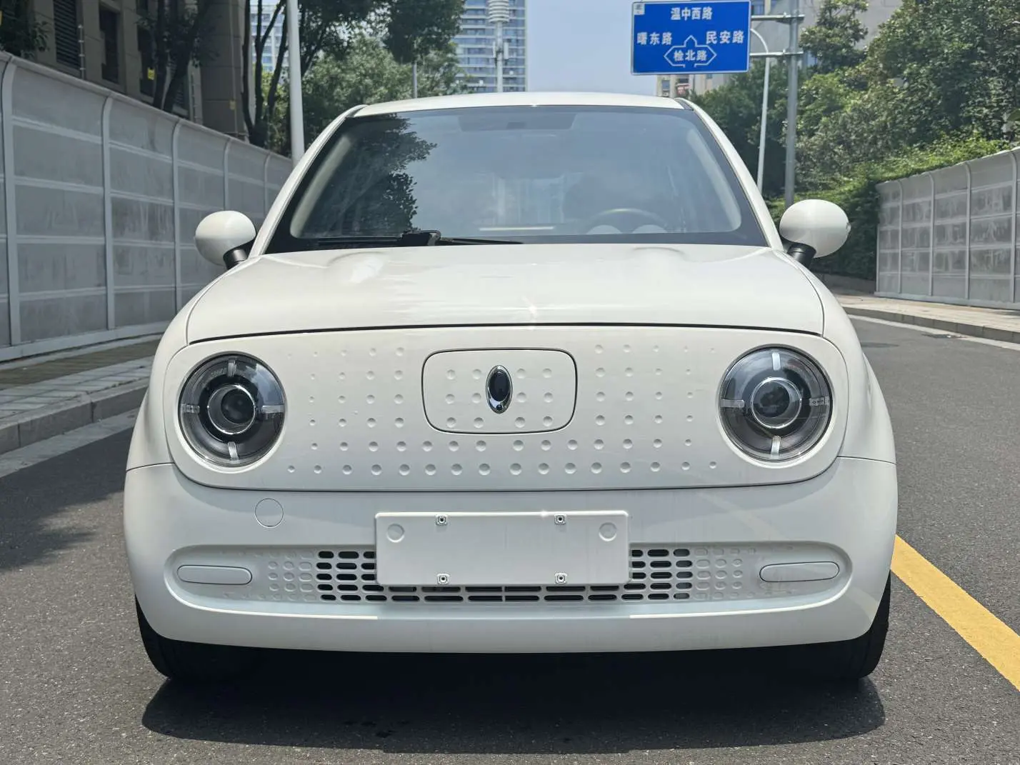 ORA Euler black cat  из Китая