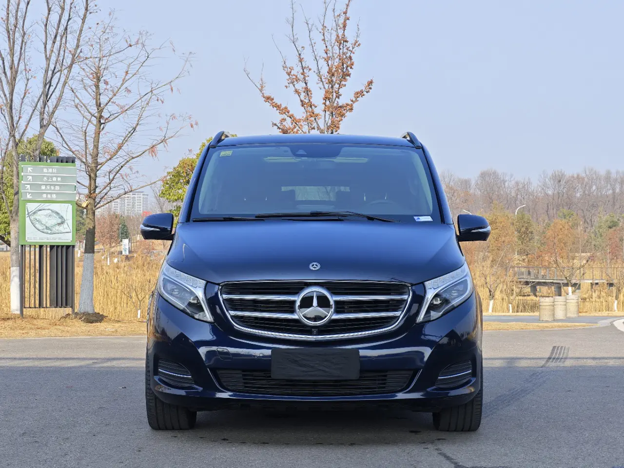 Mercedes-Benz Mercedes Benz V Class  из Китая