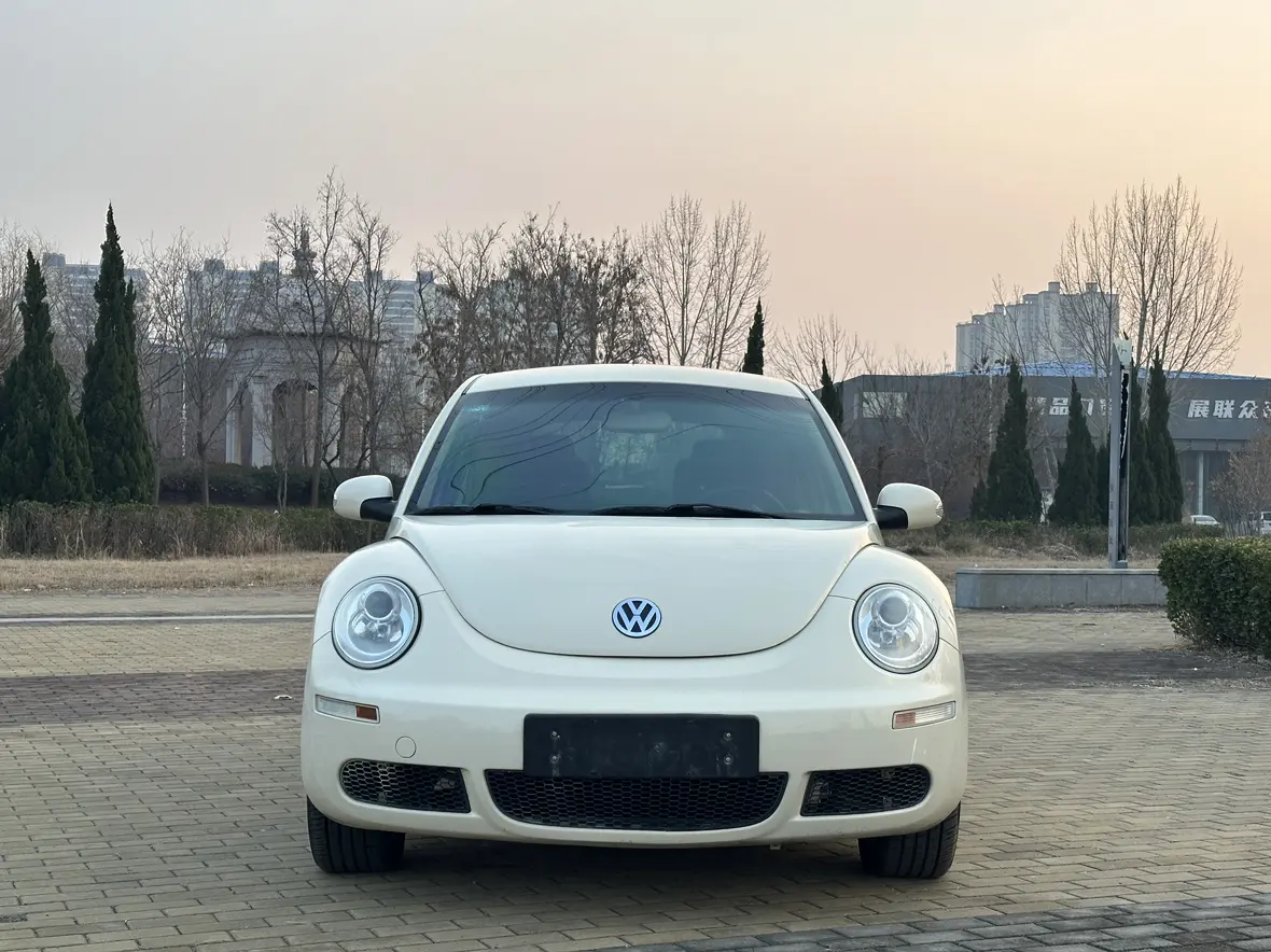 Volkswagen Beetle  из Китая