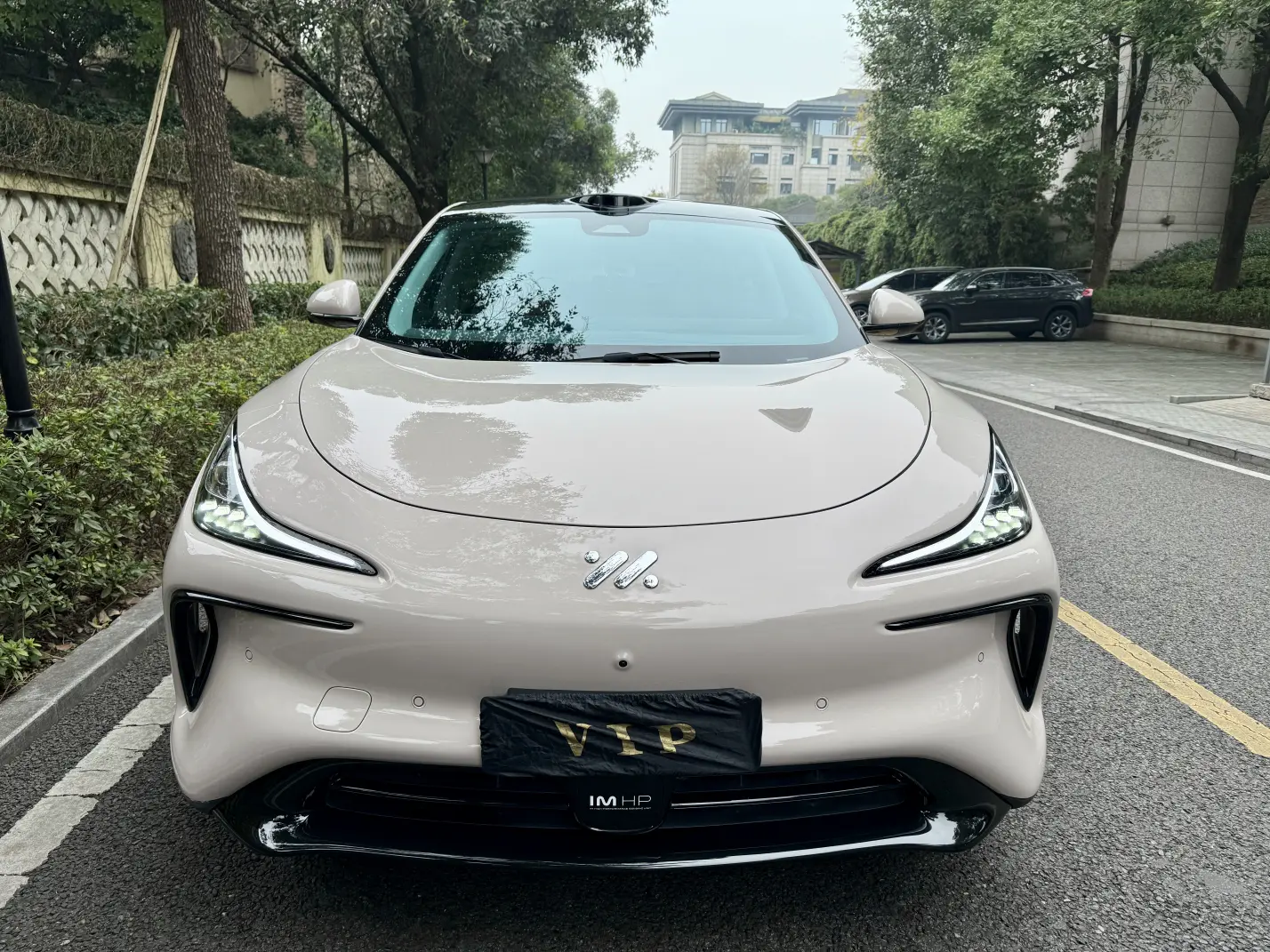 Zhiji LS6  из Китая